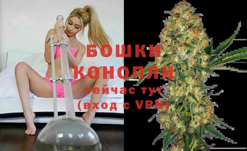 купить закладку  Суоярви  Бошки марихуана White Widow 